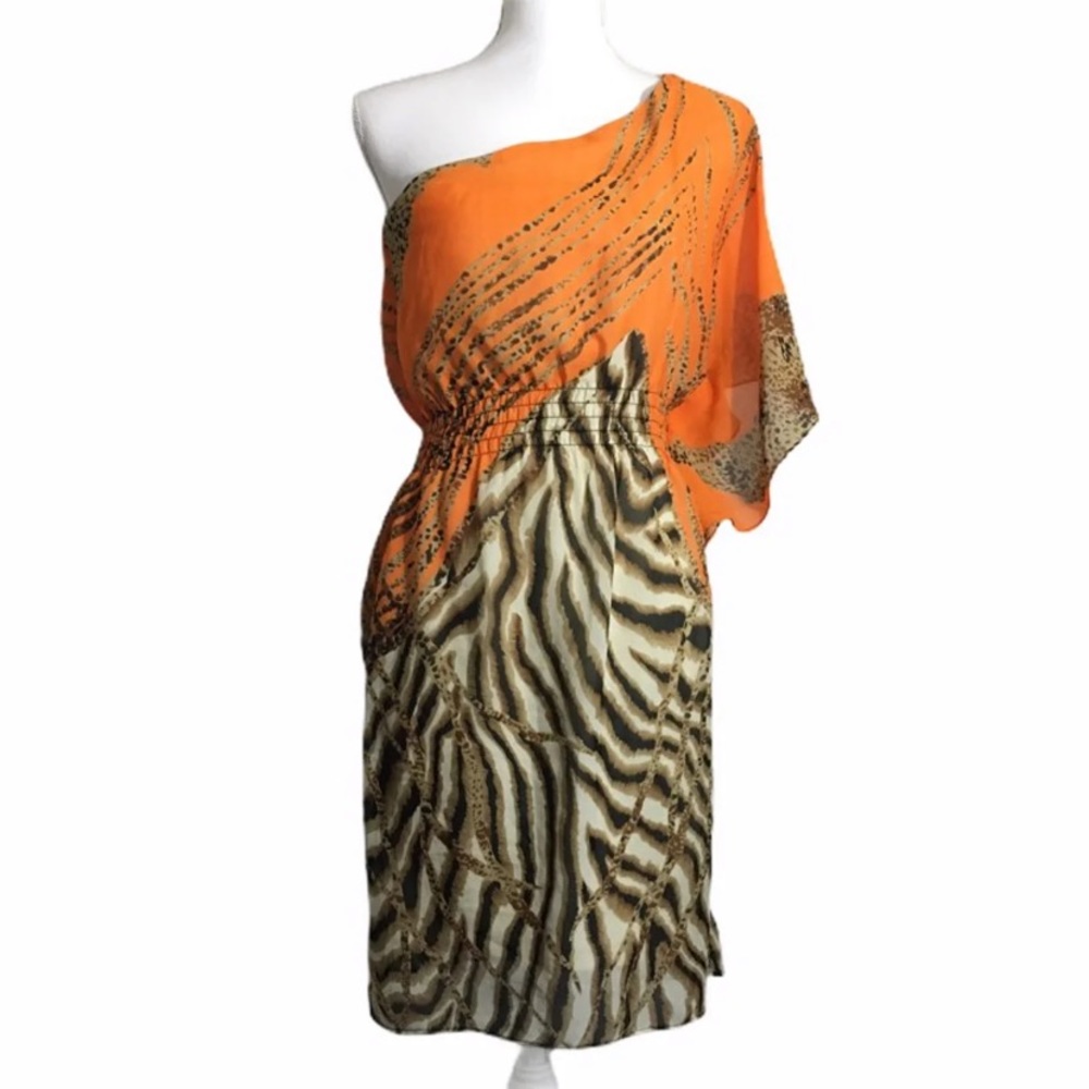 Bisou Bisou one shoulder chiffon dress